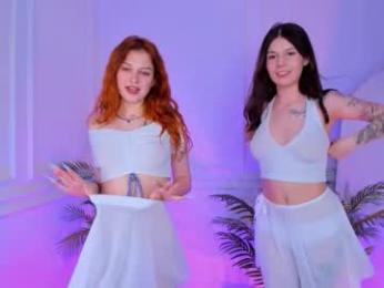 shiny_bell webcam model stream image