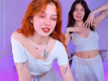 shiny_bell webcam model stream image