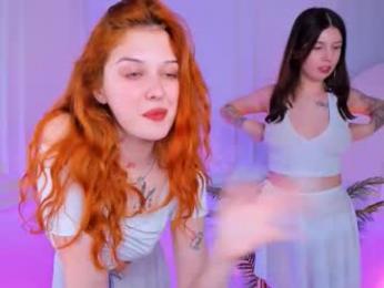 shiny_bell webcam model stream image