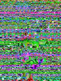 SinCityDoll webcam stripchat model stream image