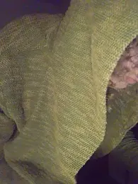 Neural_vampyr webcam stripchat model stream image
