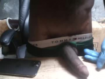 alphamvf webcam model stream image