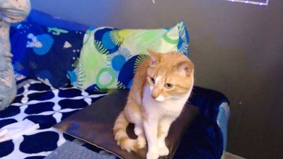 Sexosos_SW webcam model stream image