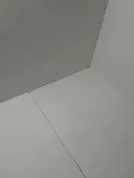 zorco_model webcam model stream image