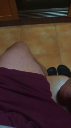torbina webcam model stream image