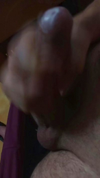 torbina webcam model stream image