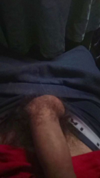 Tigrevk webcam model stream image