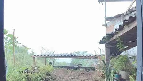 JONAS_SMITH_ webcam model stream image