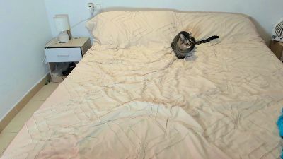 Maria18_MAD webcam cam4 model stream image