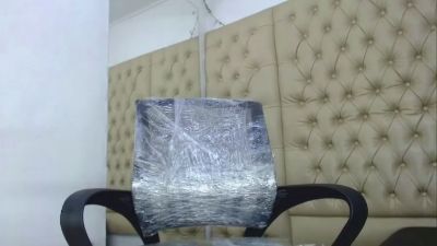 HollmanFronsh webcam model stream image