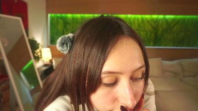 TierraCheck webcam model stream image