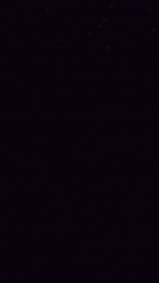 Galakbrulant1 webcam cam4 model stream image