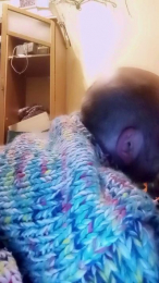 sweaterslut webcam model stream image
