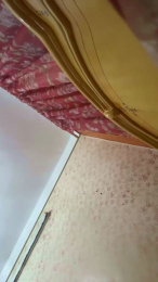 Elmaghraby666 webcam model stream image