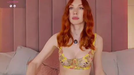 MayaSolar webcam model stream image