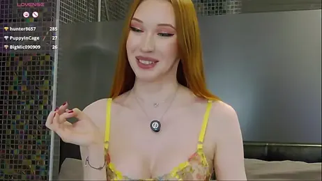 MayaSolar webcam model stream image