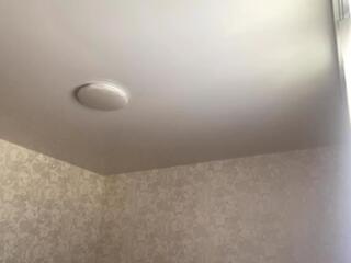 Primrose Gorbett webcam model stream image