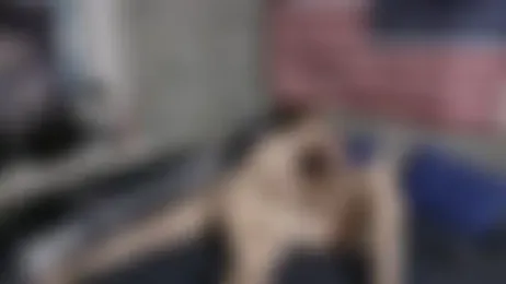 Dm_Brown webcam model stream image