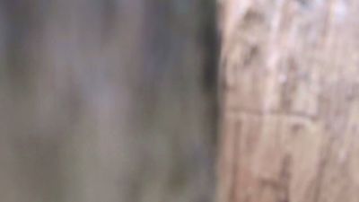 MySecretsGer webcam model stream image