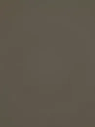 controlplay webcam model stream image