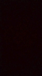 ZebedeuSC webcam model stream image