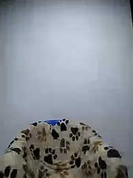 Cameron_puppy webcam model stream image