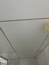 MateusBH123 webcam model stream image