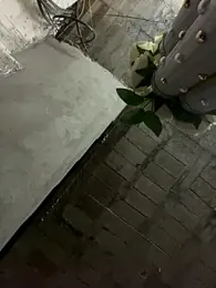 KingBlack25cm webcam model stream image