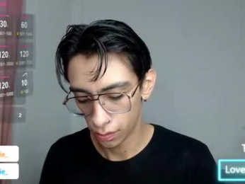 ash_v1 webcam model stream image