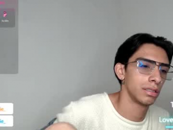 ash_v1 webcam model stream image