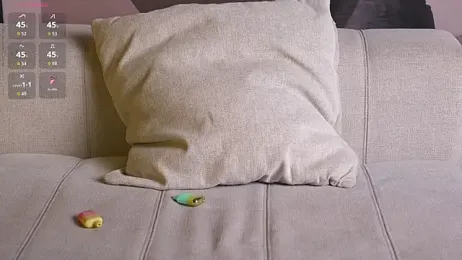 BestModelsDuo webcam model stream image