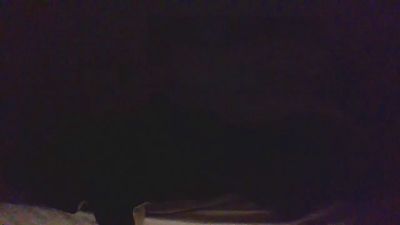 Elbbbb23 webcam model stream image