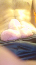 thauvin_xxx webcam model stream image