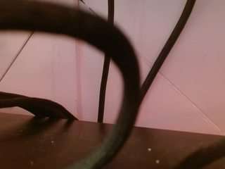 realdiamonddoll webcam camsoda model stream image