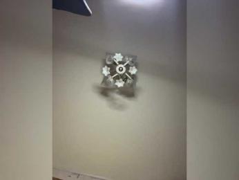 The-best-babies webcam bongacams model stream image