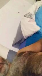Zioroby webcam model stream image