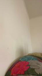 Reedgyal webcam model stream image