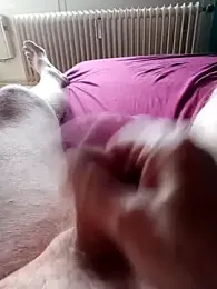 ImperlPerverso59 webcam stripchat model stream image