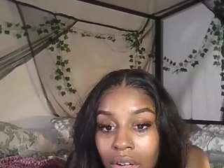elasia webcam model stream image