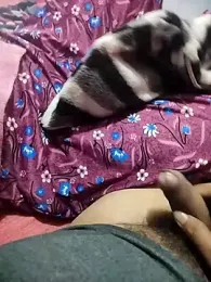 Pretty_bhabhi webcam model stream image