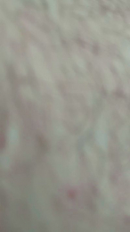 DuoFenice webcam model stream image