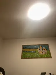 Toyjungee webcam model stream image