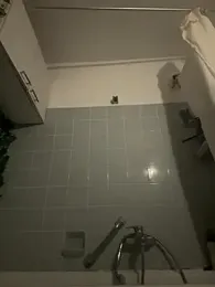 Toyjungee webcam model stream image