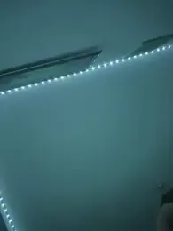 Toyjungee webcam model stream image