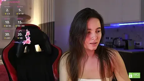 handsontable webcam model stream image