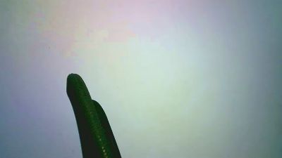 Eddy_V webcam model stream image