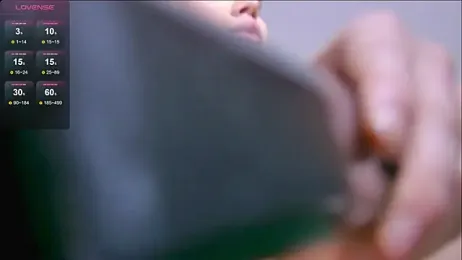 Monasteel webcam model stream image