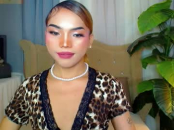 metawinathan webcam model stream image