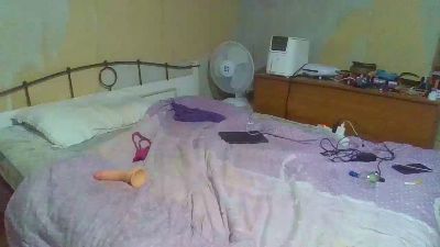 leshj webcam preview