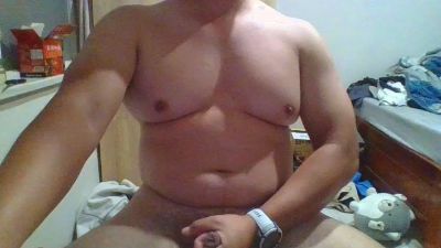 s1047 webcam model stream image